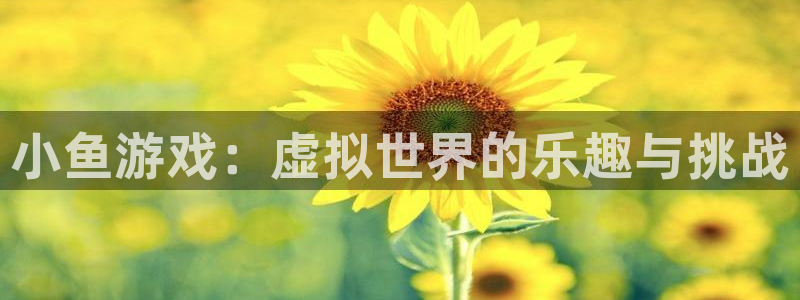 沐鸣总代理