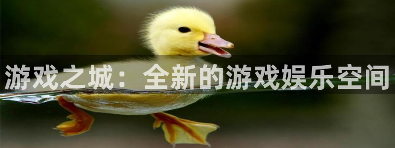 沐鸣登录地址：游戏之城：全新的游戏娱乐空间