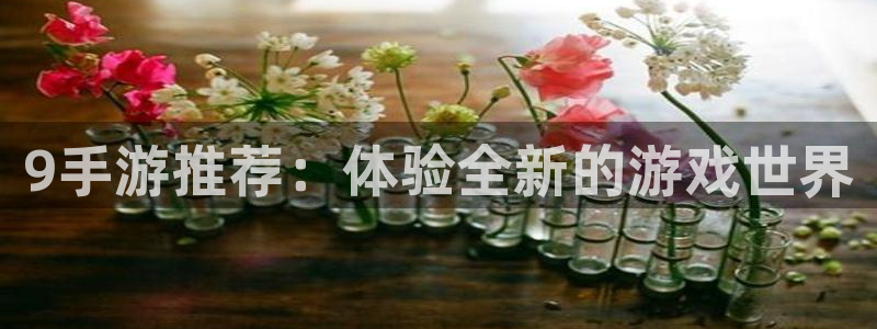 沐鸣娱乐注册登录平台官网：9手游推荐：体验全新的游戏世界