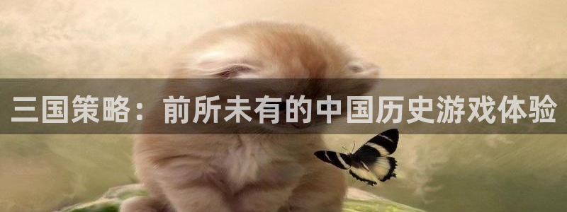 沐鸣娱乐注册登录平台下载：三国策略：前所未有的中国历史游戏体