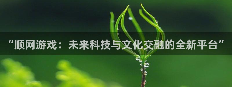 沐鸣注册网站：“顺网游戏：未来科技与文化交融的全新平台”