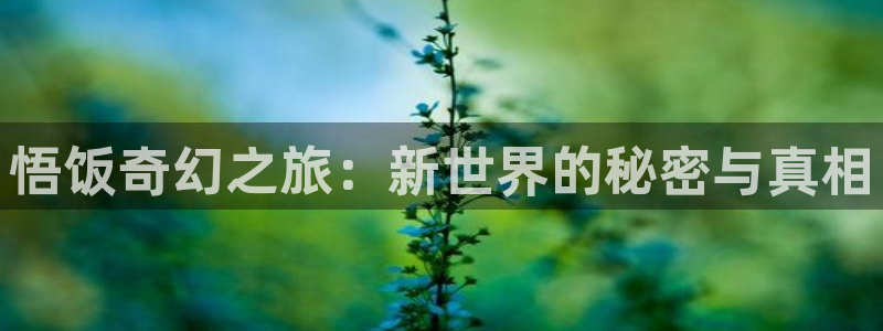 沐鸣注册账号怎么注册