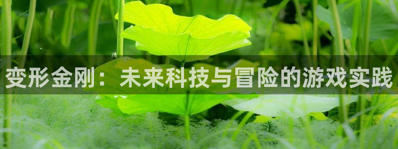 沐鸣平台负责人